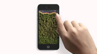 OndAzul :: Nature Snap Facts