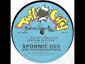 Spoonie Gee - (You Ain't Just A Fool) You's An Old Fool (1988)