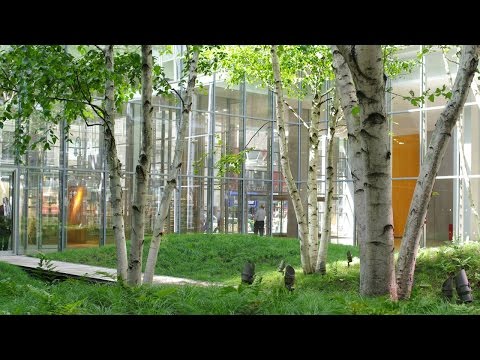 image-Who was the architect of the New York Times building?