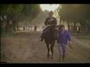 Spectacular Bid  - 1980 Santa Anita Handicap (Partial)