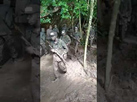 Marcha sem fim, o sargento não gosta de mim