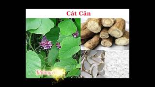 Vai Gáy PQA cứu tính cho người đau vai gáy