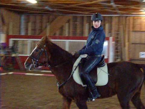 Roki & Sandra 15.2.17 Onnenperä