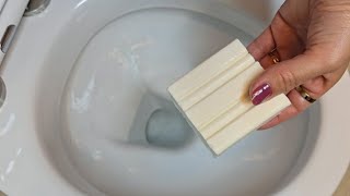 Put some soap in the toilet, it won't get dirty or smelly without brushing it for half a year