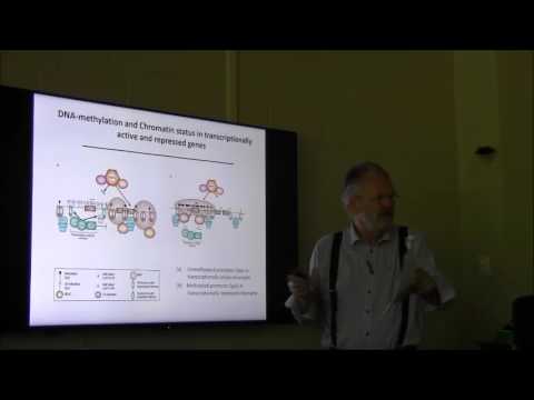 Dr. Dan Rohme - Epigenetics/Epigenomics