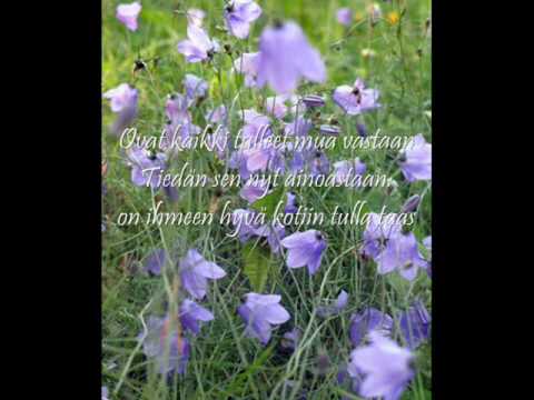 Lasse Mårtenson: On ihmeen hyvä kotiin tulla +Lyrics