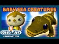 Octonauts Cutest Baby Sea Creatures 2 Hours Full Episodes Marathon Explore The Ocean