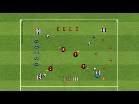 Circuito tecnico + capacità coordinative