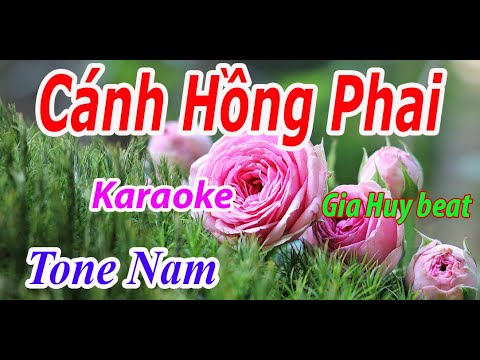 Cánh Hồng Phai - Karaoke - Tone Nam - Nhạc Sống - gia huy beat