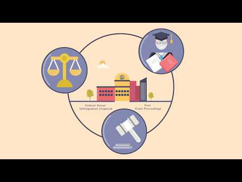 Patent infringement litigation