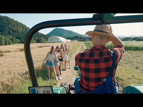 ANSAMBEL LESARJI - Katero naj izberem