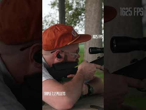 Is Nosler Ammo Worth it? Ammo Audit