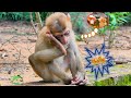 Breaking News Last Video After Missing New Abandon Shally In Carzilla Group Wishing Baby Better