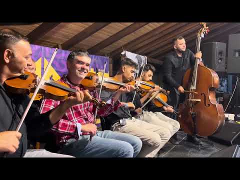 A Palatkai banda és Koncz Gergő az Egyfeszten