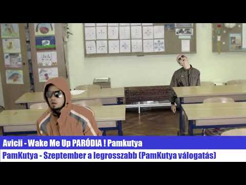 Avicii - Wake Me Up PARÓDIA ! Pamkutya (Offical Audio)