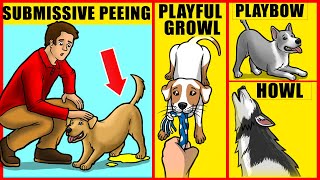 14 Ways to Understand Your Dog