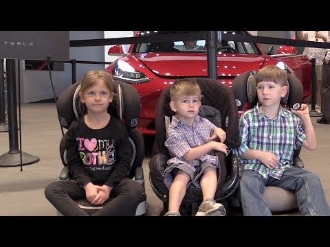 best booster seat for tesla model 3