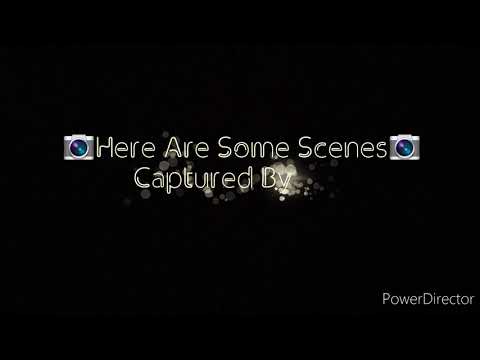 Beautiful Nature Pic's🏞🏞🏞