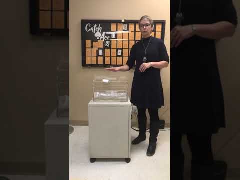 How to play our Catch the Ace Progressive Lottery!