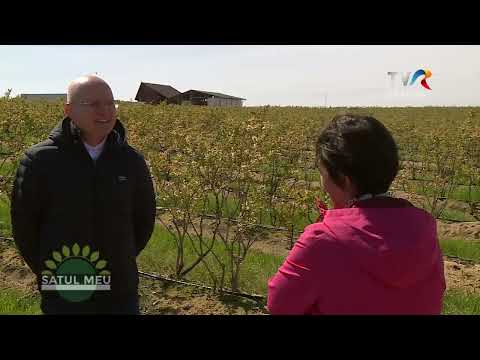 My village - Robanesti, Varvor, Copaceni