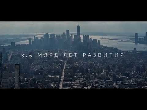 Четыре команды IT-школы Илларионова прошли в финал конкурса «Моя профессия ИТ»