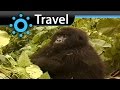 The Virunga National Park Vacation Travel Video Guide