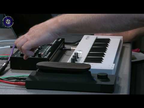 Roland Boutique SE-02 and Touche Controller