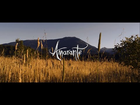 Amarante - In The Hollow Of Your Hand (Official Music Video)