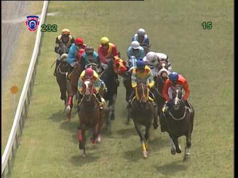 RACE MEETING 23 - 2015