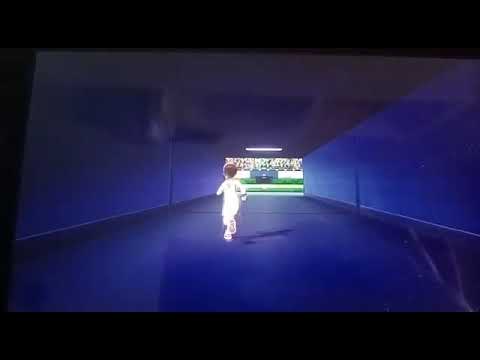 sfida(floreale) con yarrow capopalestra.   Pokemon spada Ep 3