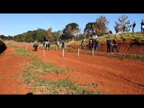 HÍPICA ALFREDO CONCEIÇÃO - GP REI E RAINHA DA VELOCIDADE PÁREO ÚNICO 