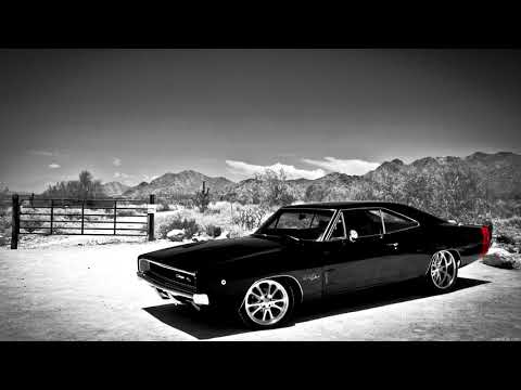 Gaullin X LTGTR - Step Back