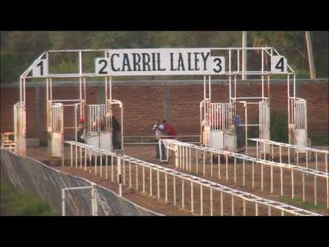 EL ANDROY CUADRA SALAZAR VS UN TAPADO 225 VARAS