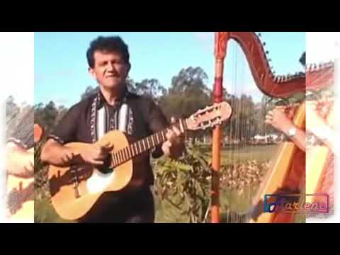 Por culpa de una esquelita - Néstor Damián Girett y Los Misioneros