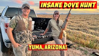 Unbelievable! Insane amount of Dove Shot on Film! #arizona #yumaaz #hunter #dove #dovehunting