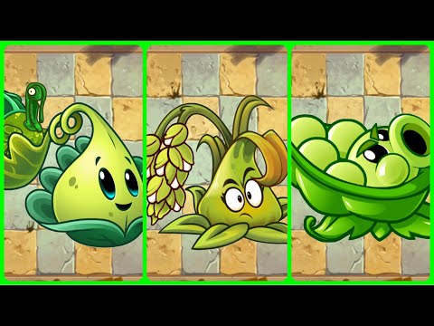 PvZ 2 Family Pult: Turkey-pult vs Stickybomb Rice vs Sling Pea Who Will Win?