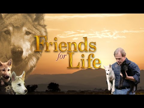Friends for Life (2008) | Watch Full Free HD Movie Online | Best Drama Movies