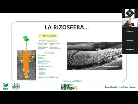 Nutrición para fertirriego - Curso básico de fertirriego 2025