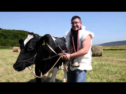 RAZBIJAČI ČAŠA - COPRNJICA (OFFICIAL VIDEO)