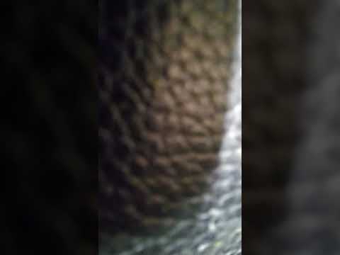 Sterly Bo - We Squeezin For Any Reason