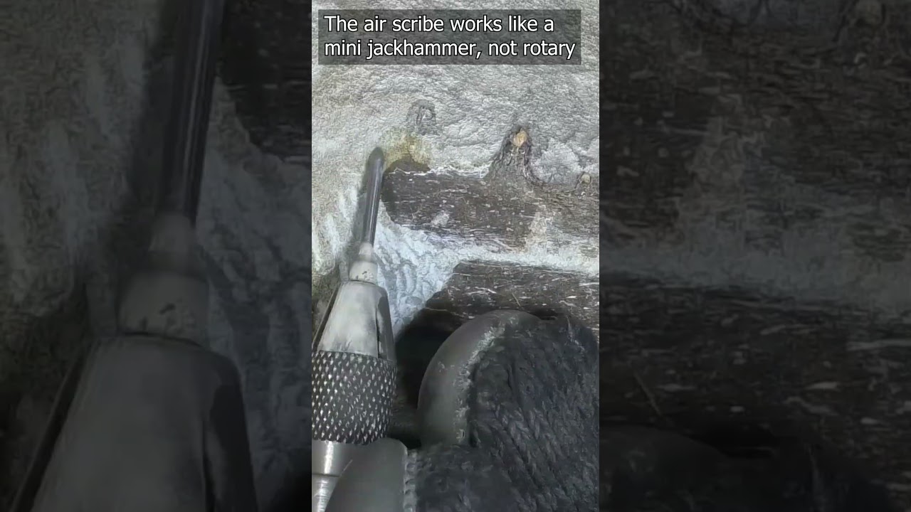 One of my favourite fossil finds, a rare bony toothed bird #fossils #dinosaur