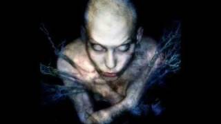 Immortal Technique - The Prophecy