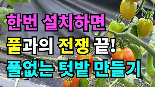 내 텃밭에 맞는거 사용하는것도 중요해요/ 제초매트로 풀약 안하고 풀관리하기