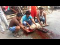 Bakari Ka Hatya