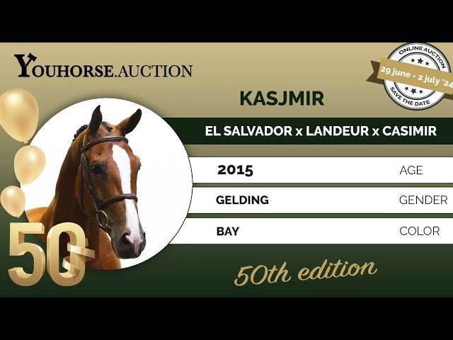 Kasjmir showvideo indoor