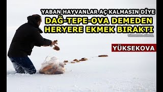 Yaban Hayvanlar Aç Kalmasın Diye, Beline Kadar Kardan Yürüyerek Heryere Ekmek Bıraktı - Yüksekova