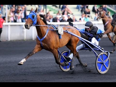 TIMOKO: THE LEGENDARY GLOBETROTTER