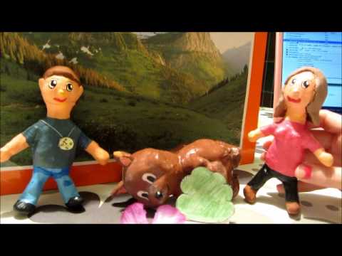 Excursió a la muntanya