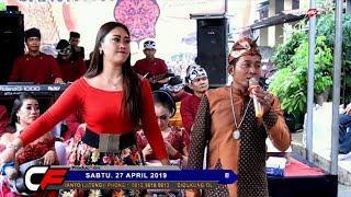 Download lagu Rondo Teles Etan Dalan - Dedy & Cindy || Sangkan Paran Campursari mp3 Download lagu Rondo Teles Etan Dalan - Dedy & Cindy || Sangkan Paran Campursari mp3