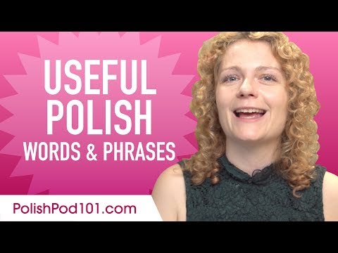 Useful Polish Words & Phrases to Speak Like a Native